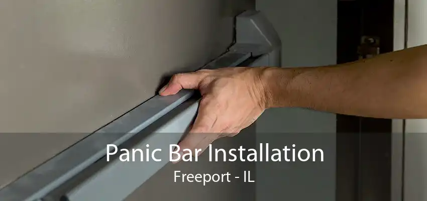 Panic Bar Installation Freeport - IL